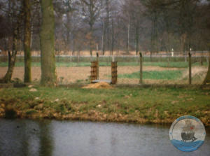 Eine Brücke samt Zaun wird angelegt