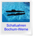 Schafuahren Bochum-Werne