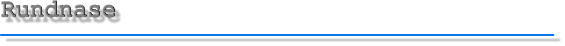 Rundnase