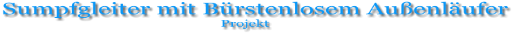 Sumpfgleiter mit Bürstenlosem Außenläufer                                                             Projekt